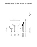 MONITORING HEALTH AND DISEASE STATUS USING CLONOTYPE PROFILES diagram and image