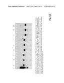 MONITORING HEALTH AND DISEASE STATUS USING CLONOTYPE PROFILES diagram and image