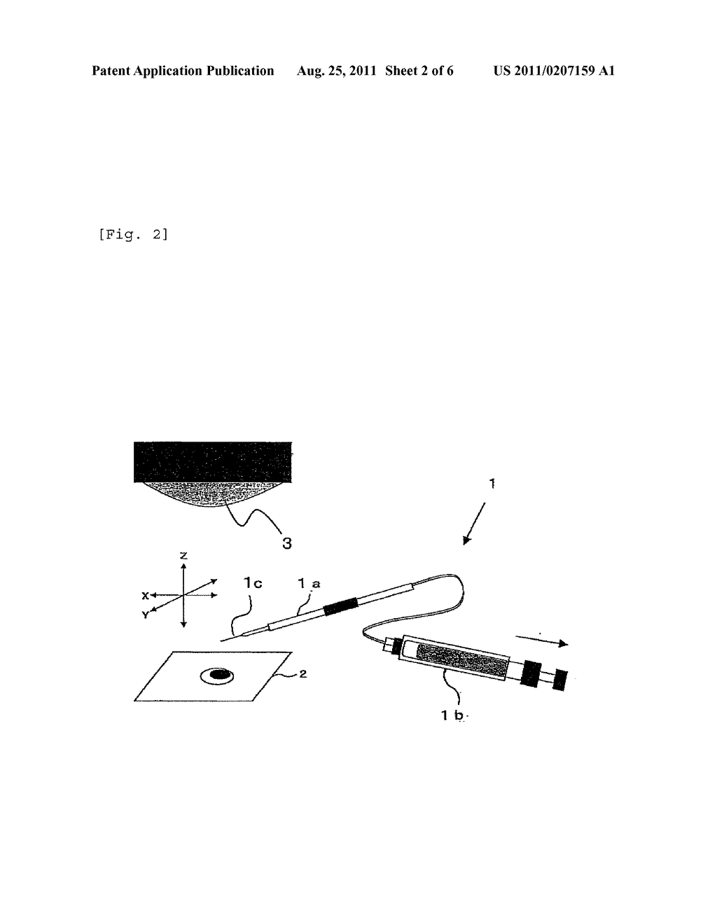 SCREENING METHOD FOR EFFICIENTLY OBTAINING USEFUL MICROBIAL STRAINS FROM     MICROBIAL SAMPLE OBTAINED FROM NATURAL ENVIRONMENT AND REAGENT AND     SCREENING KIT TO BE USED THEREFOR - diagram, schematic, and image 03