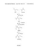 MICROORGANISMS AND METHODS FOR THE BIOSYNTHESIS OF P-TOLUATE AND     TEREPHTHALATE diagram and image