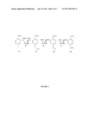 MICROORGANISMS AND METHODS FOR THE BIOSYNTHESIS OF P-TOLUATE AND     TEREPHTHALATE diagram and image