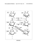 Scyllo-Inositol-Producing Cell and Scyllo-Inositol Production Method Using     Said Cells diagram and image