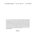 Pseudomonas sp. strain and method of producing chitinase, chitosanase and     nattokinase using the same diagram and image