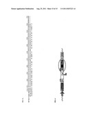 METHODS OF GENERATING ALPHAVIRUS PARTICLES diagram and image