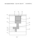 BICOMPATIBLE ELECTRODES diagram and image