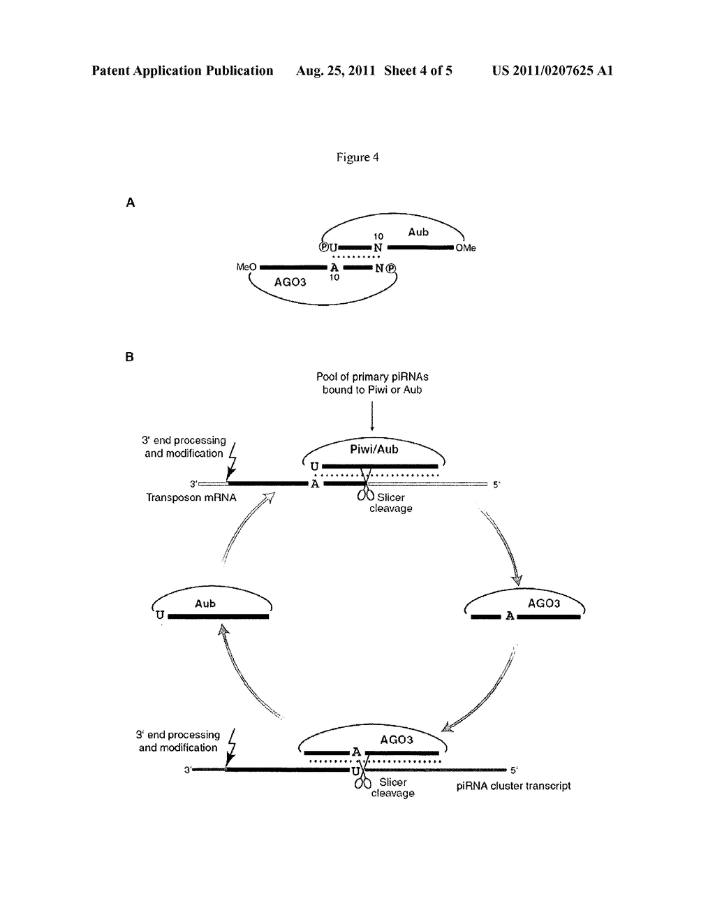 PIRNA AND USES RELATED THERETO - diagram, schematic, and image 05