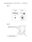 METHODS AND COMPOSITIONS FOR MODULATING DRUG-POLYMER ARCHITECTURE,     PHARMACOKINETICS AND BIODISTRIBUTION diagram and image