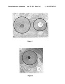 FULVIC ACID AND ANTIBIOTIC COMBINATION diagram and image