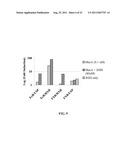 Compounds That Act To Modulate Insect Growth And Methods And Systems For     Identifying Such Compounds diagram and image