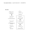 Compounds That Act To Modulate Insect Growth And Methods And Systems For     Identifying Such Compounds diagram and image