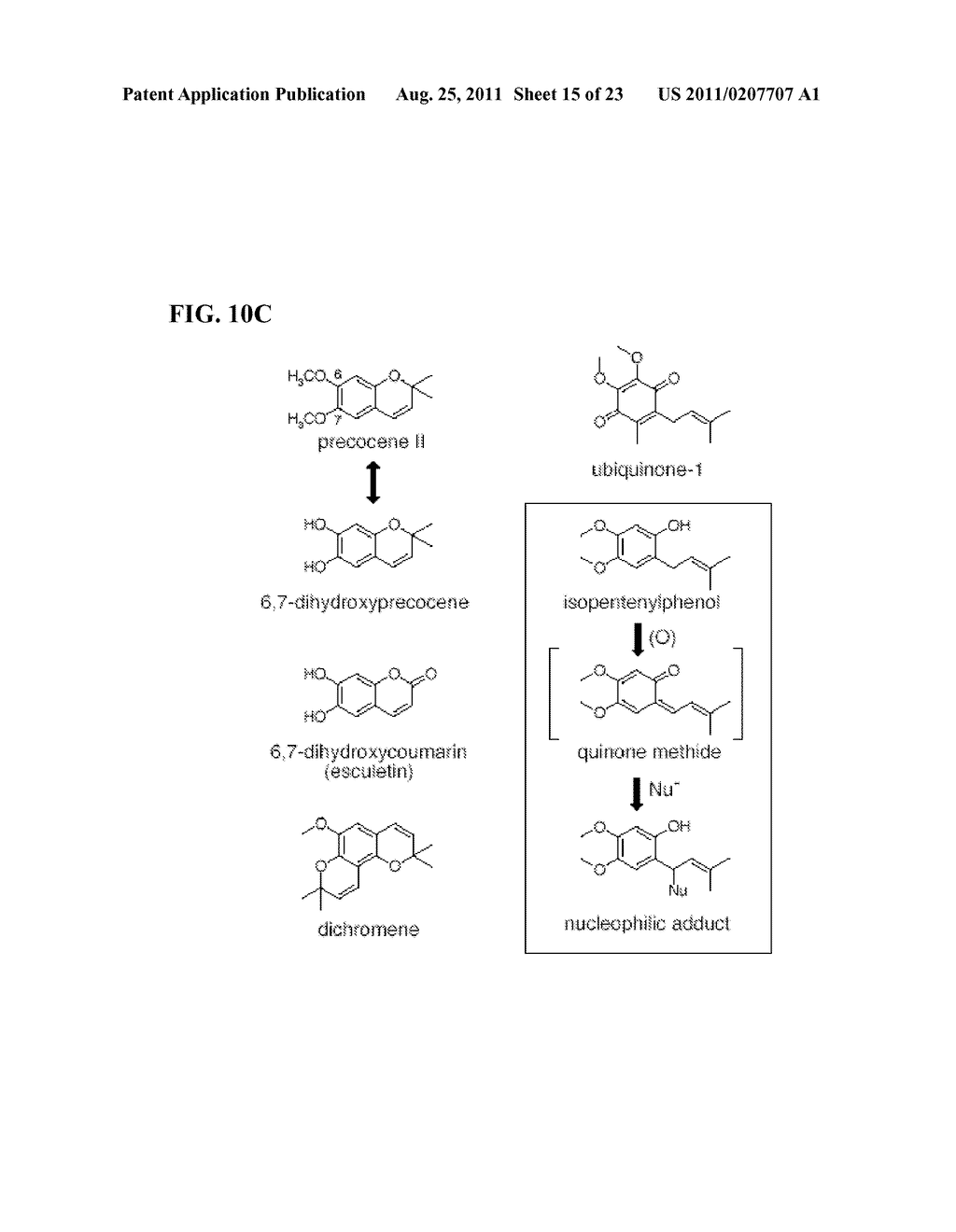 Compounds That Act To Modulate Insect Growth And Methods And Systems For     Identifying Such Compounds - diagram, schematic, and image 16