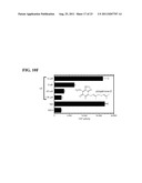 Compounds That Act To Modulate Insect Growth And Methods And Systems For     Identifying Such Compounds diagram and image