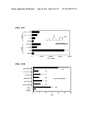 Compounds That Act To Modulate Insect Growth And Methods And Systems For     Identifying Such Compounds diagram and image