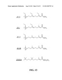 Compounds That Act To Modulate Insect Growth And Methods And Systems For     Identifying Such Compounds diagram and image