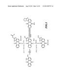 Thio-subsituted Anthra [1, 2-d] imidazole- 6, 11-dione Dervatives,     Preparation Method and application thereof diagram and image