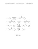 ION CHANNEL MODULATING COMPOUNDS AND USES THEREOF diagram and image