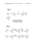 Novel cc-1065 Analogs and Their Conjugates diagram and image