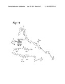 Novel cc-1065 Analogs and Their Conjugates diagram and image