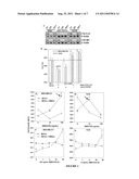 Combination Therapy for Breast Cancer Treatment diagram and image