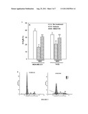 Combination Therapy for Breast Cancer Treatment diagram and image