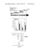 Combination Therapy for Breast Cancer Treatment diagram and image