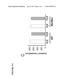 METHOD FOR DETERMINING SENSITIVITY OR RESISTANCE TO COMPOUNDS THAT     ACTIVATE THE BRAIN SEROTONIN SYSTEM diagram and image