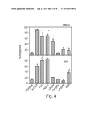 PROMOTERS EXHIBITING ENDOTHELIAL CELL SPECIFICITY AND METHODS OF USING     SAME FOR REGULATION OF ANGIOGENESIS diagram and image