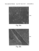 PROMOTERS EXHIBITING ENDOTHELIAL CELL SPECIFICITY AND METHODS OF USING     SAME FOR REGULATION OF ANGIOGENESIS diagram and image