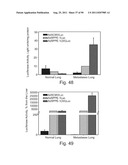 PROMOTERS EXHIBITING ENDOTHELIAL CELL SPECIFICITY AND METHODS OF USING     SAME FOR REGULATION OF ANGIOGENESIS diagram and image