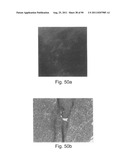 PROMOTERS EXHIBITING ENDOTHELIAL CELL SPECIFICITY AND METHODS OF USING     SAME FOR REGULATION OF ANGIOGENESIS diagram and image