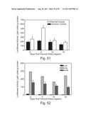 PROMOTERS EXHIBITING ENDOTHELIAL CELL SPECIFICITY AND METHODS OF USING     SAME FOR REGULATION OF ANGIOGENESIS diagram and image