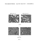 PROMOTERS EXHIBITING ENDOTHELIAL CELL SPECIFICITY AND METHODS OF USING     SAME FOR REGULATION OF ANGIOGENESIS diagram and image