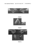 METHOD FOR ARTIFICIAL INSEMINATION OF COWS diagram and image