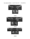 METHOD FOR ARTIFICIAL INSEMINATION OF COWS diagram and image