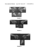 METHOD FOR ARTIFICIAL INSEMINATION OF COWS diagram and image