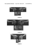 METHOD FOR ARTIFICIAL INSEMINATION OF COWS diagram and image