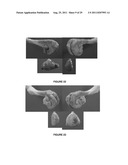 METHOD FOR ARTIFICIAL INSEMINATION OF COWS diagram and image