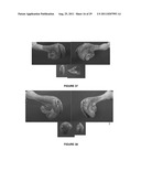 METHOD FOR ARTIFICIAL INSEMINATION OF COWS diagram and image