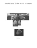 METHOD FOR ARTIFICIAL INSEMINATION OF COWS diagram and image