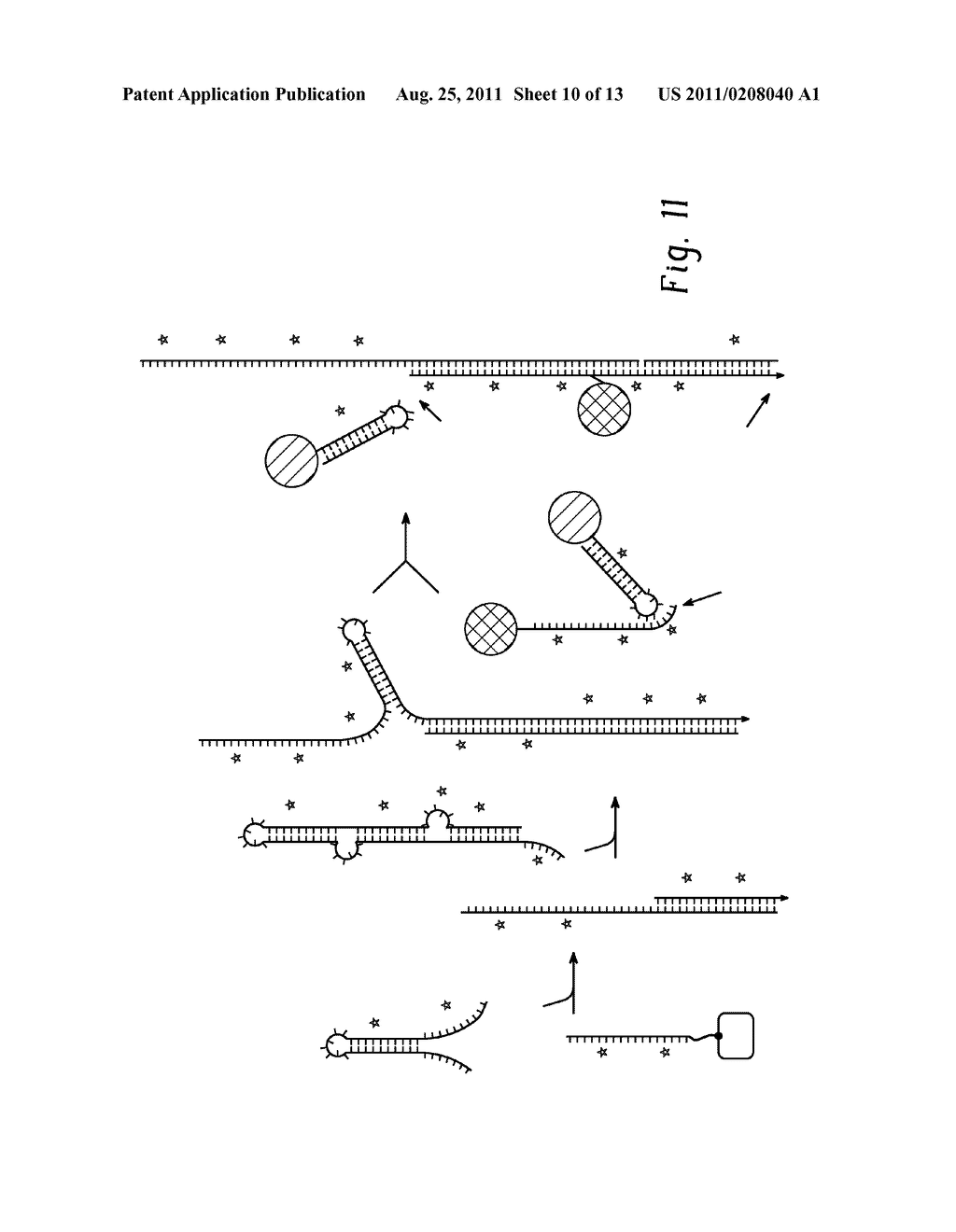 MOLECULAR IMAGING - diagram, schematic, and image 11