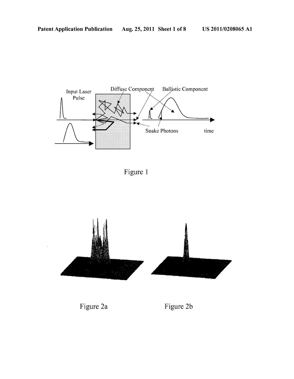 Optical Tomography System Using Short-Pulse Laser for Early Cancer     Diagnostics - diagram, schematic, and image 02