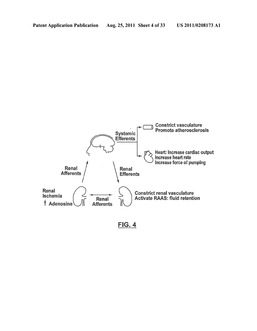 Methods for Treating sleep apnea via renal Denervation - diagram, schematic, and image 05