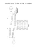 LOW ASPECT RATIO DIFFUSING FIBER TIP diagram and image