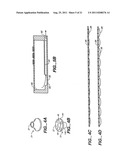 METHOD AND APPARATUS FOR REGIONAL AND WHOLE BODY TEMPERATURE MODIFICATION diagram and image