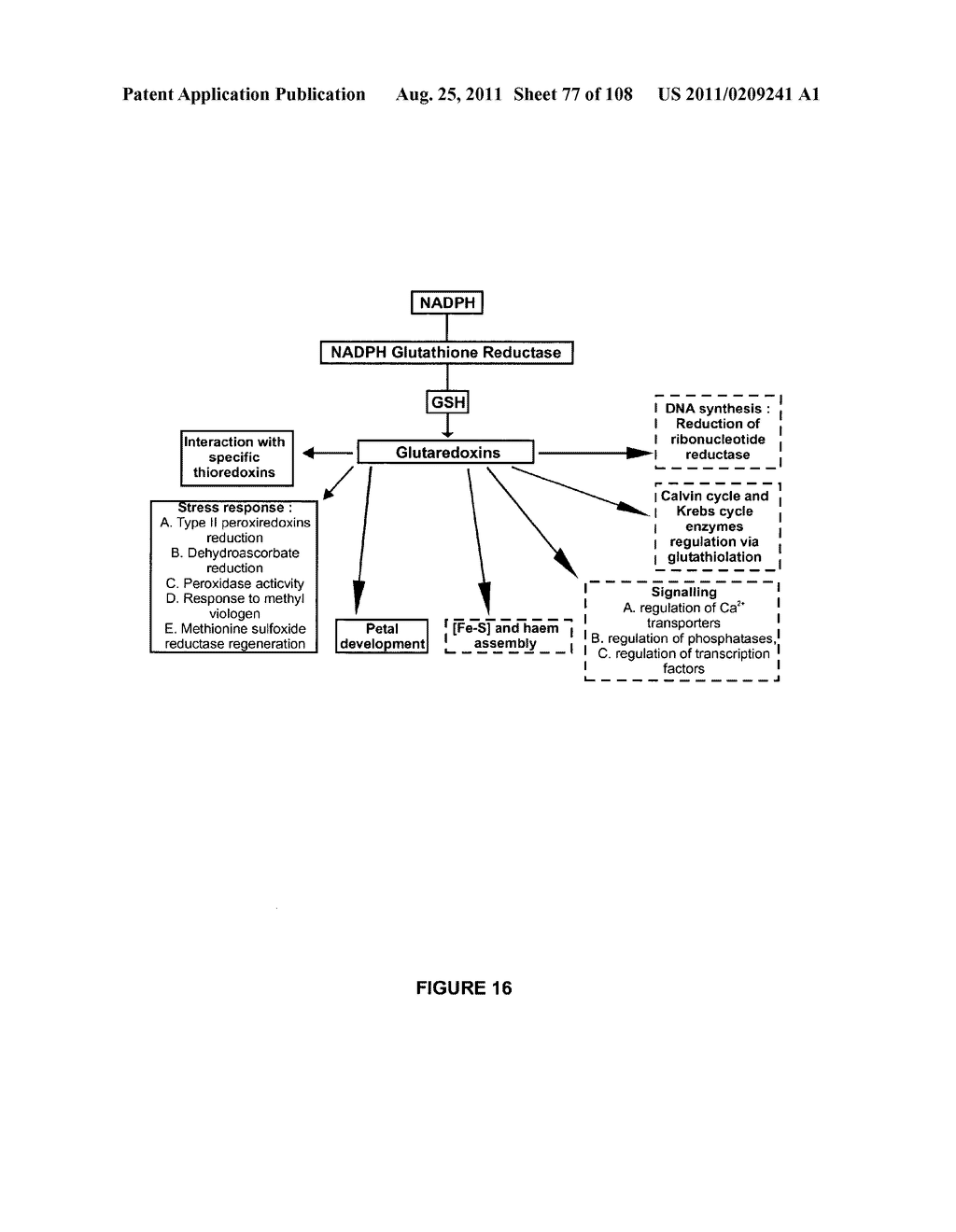 Plants Having Enhanced Yield-Related Traits and a Method for Making the     Same - diagram, schematic, and image 78