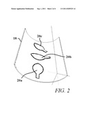 Artificial Flower Novelty and Its Method of Manufacture diagram and image