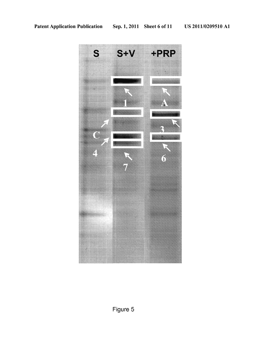 USE OF A SOLID MINERAL COMPOSITION FOR INCREASING THE FERTILITY OF A CROP     SOIL OR THAT OF A PRAIRIE SOIL - diagram, schematic, and image 07