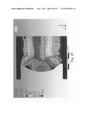 Polymer spring diagram and image