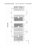 APPARATUS HAVING MUSHROOM STRUCTURES diagram and image