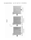 APPARATUS HAVING MUSHROOM STRUCTURES diagram and image